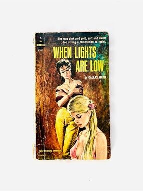 Rare Lesbian Pulp Sleaze Fiction When Lights Are Low Paperback 50s 60s AS IS